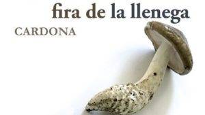 Fira De La Llenega Cardona (1)