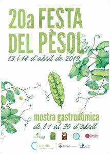 Festa Del Pesol Llavaneres 2019 (1)