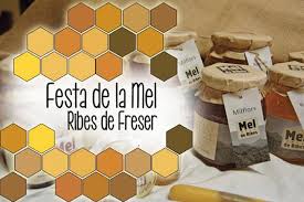 Festa de la Mel a Ribes de Freser