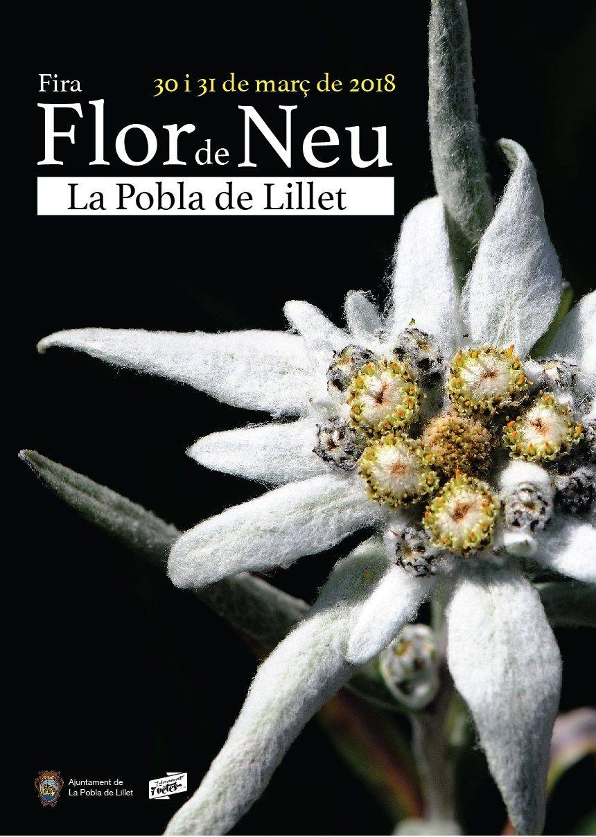 Fira Flor De Neu 2018 La Pobla De Lillet