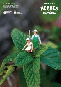 Mercat De Les Herbes De La Ratafia A Santa Coloma De Farners Cartell 2019