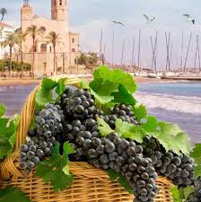 Festa de la verema i mostra de vins a Sitges