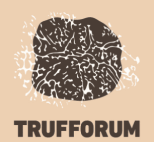 Trufforum a Vic