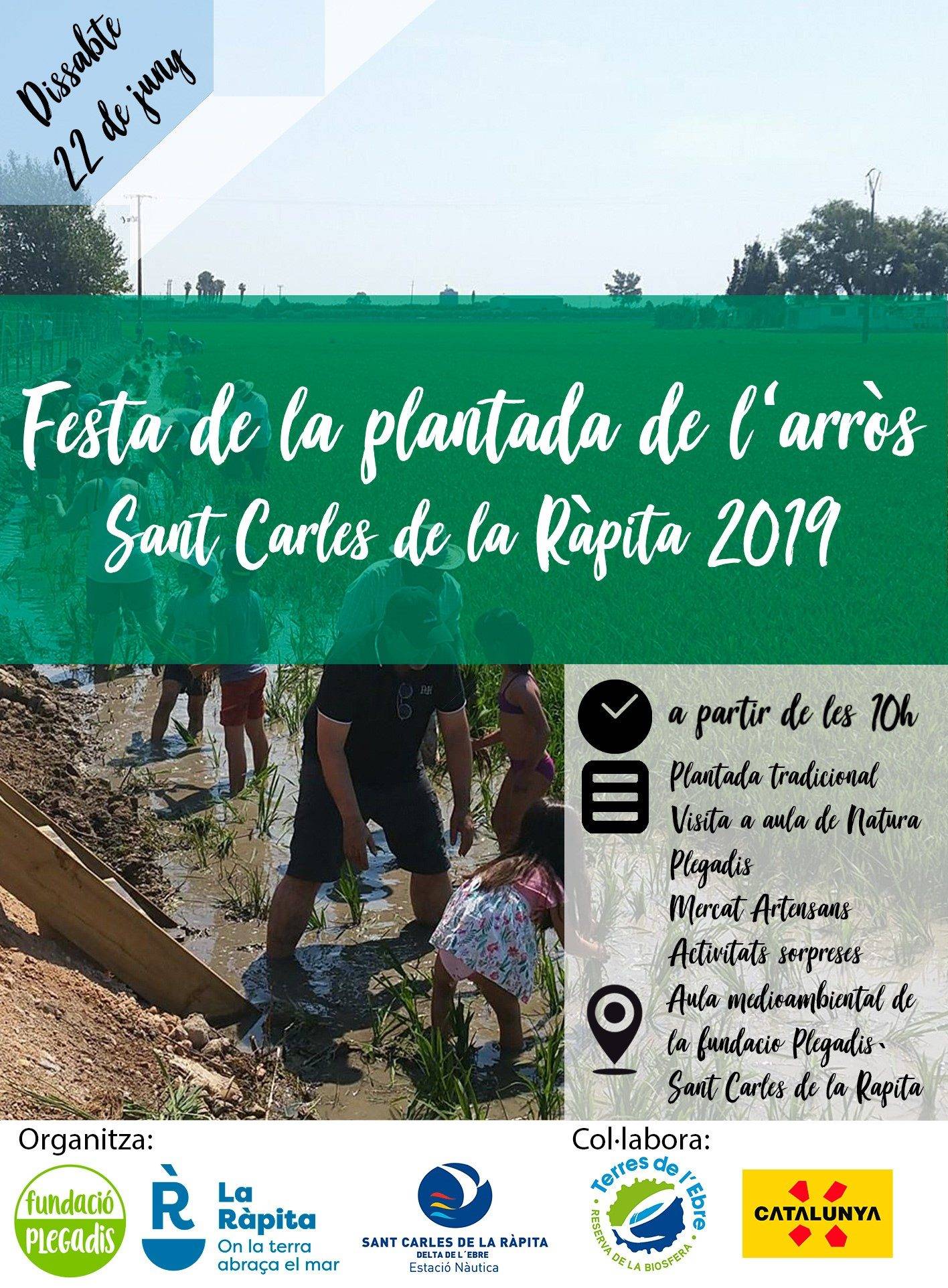 Festa de la Plantada de l Arros a Sant Carles de la Rapita 2019