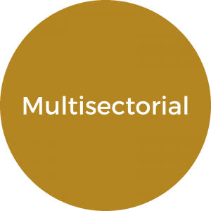 multisectorial