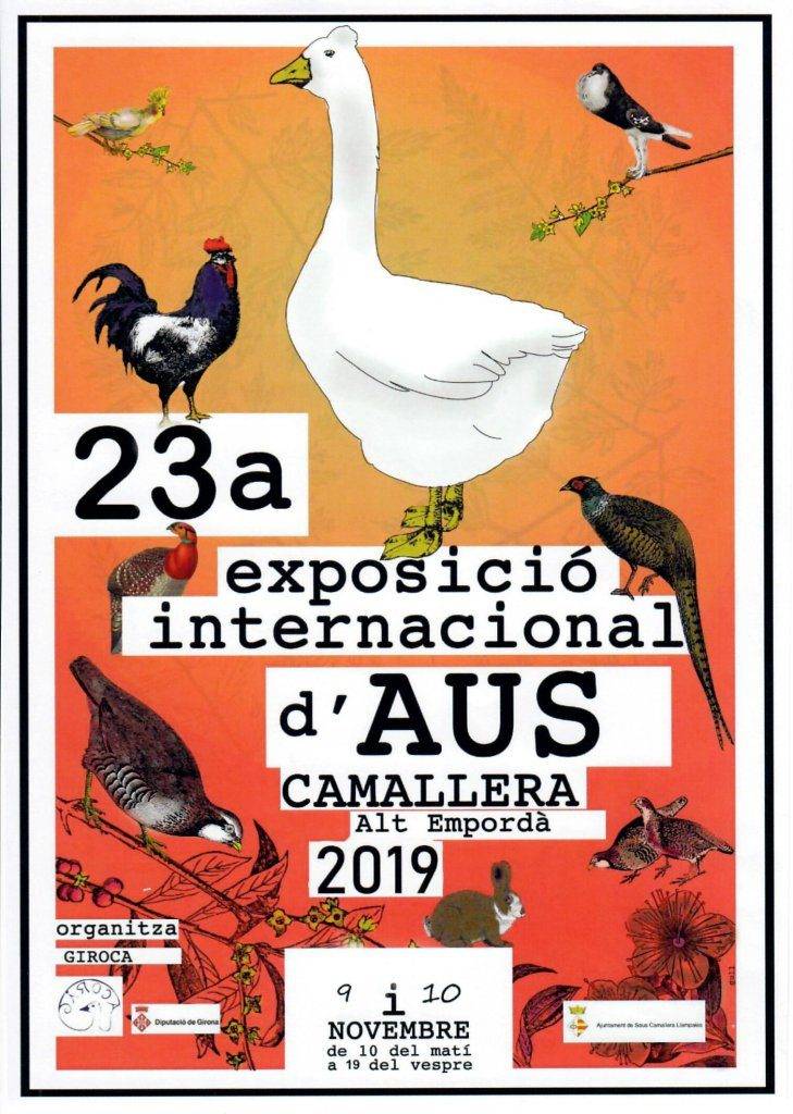 exposicio internacional d aus a camallera 2019