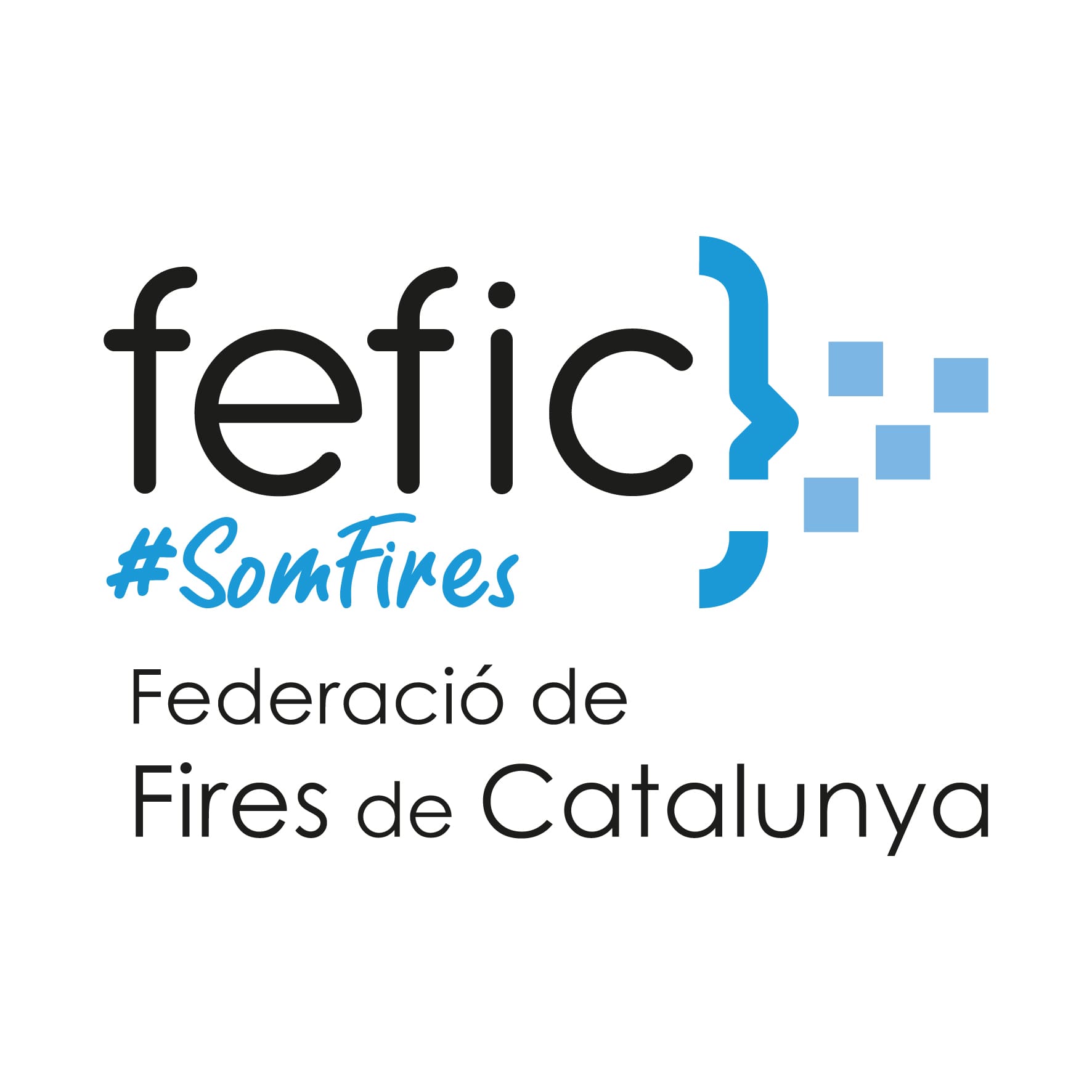 3. FEFIC Federacio Fires