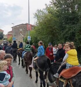 Captura de pantalla 2024 09 17 112436 (1)