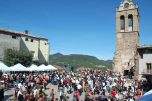 Festa de la Verema del Bages foto