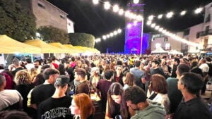 Festa de la Verema del Bages