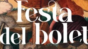Festa del Bolet a Seva
