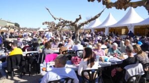 FiPorc a Riudellots de la Selva