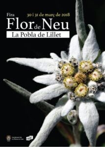 Fira Flor de Neu