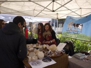 Fira Formatgera de la Vall de Ribes foto