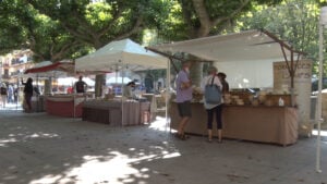 Fira Formatgera de la Vall de Ribes foto