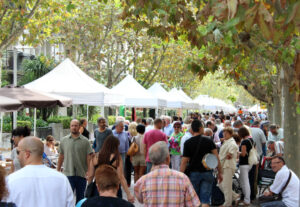 Fira de Col·lecionisme i Brocanters de Molins de Rei