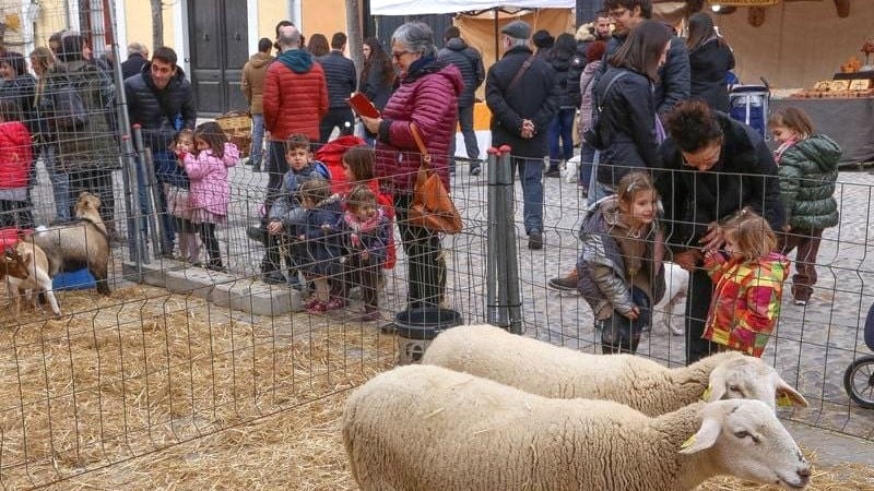 Fira de Sant Antoni a Anglès