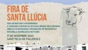 Fira de Santa Llúcia a Sant Feliu de Pallerols