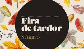 Fira de tardor castell platja daro sagaro el8g0c.tmp