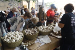 Fira de l'all de cornellà del terri foto 5 min