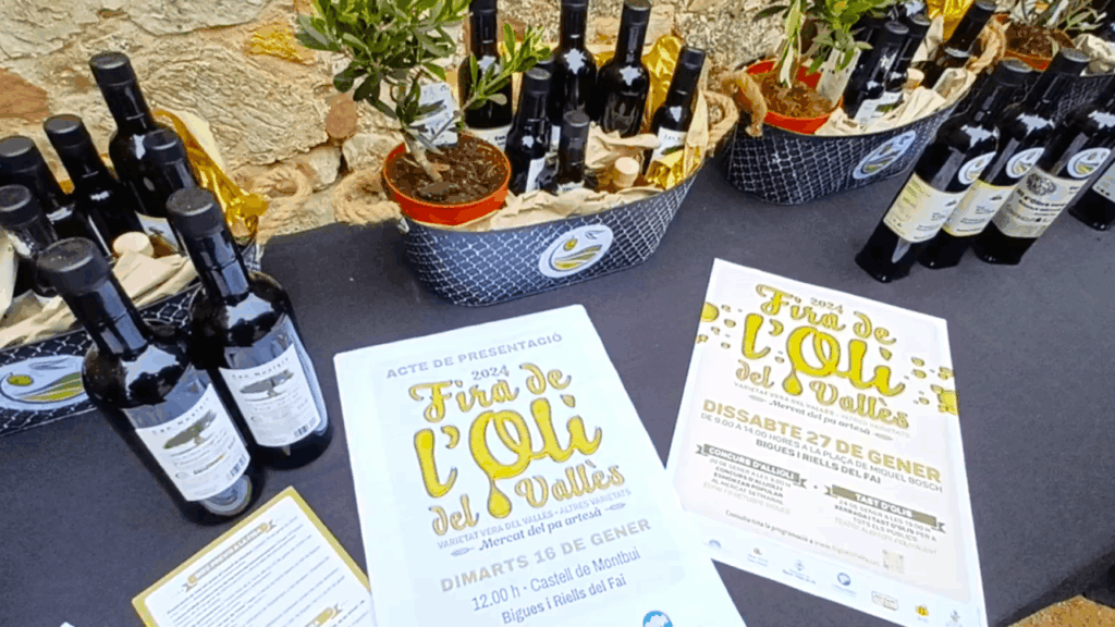 Fira de l’Oli del Vallès i el Mercat del pa artesà (1)