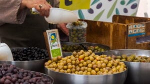 Fira de l’Oli i l’olivera becaruda a Ullastrell