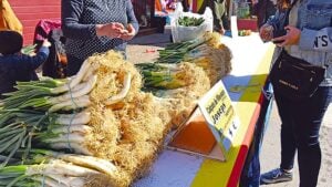 Fira de la Ceba i del Calçot a Vila-Sacra