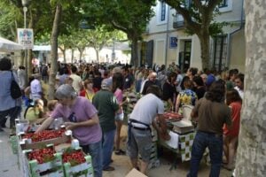 Fira de la cirera d'en roca a arenys de munt foto 3 min