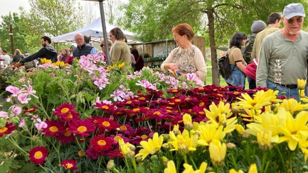 Fira de la Flor i el Planter a Salt