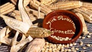 Fira Puríssima a Gironella