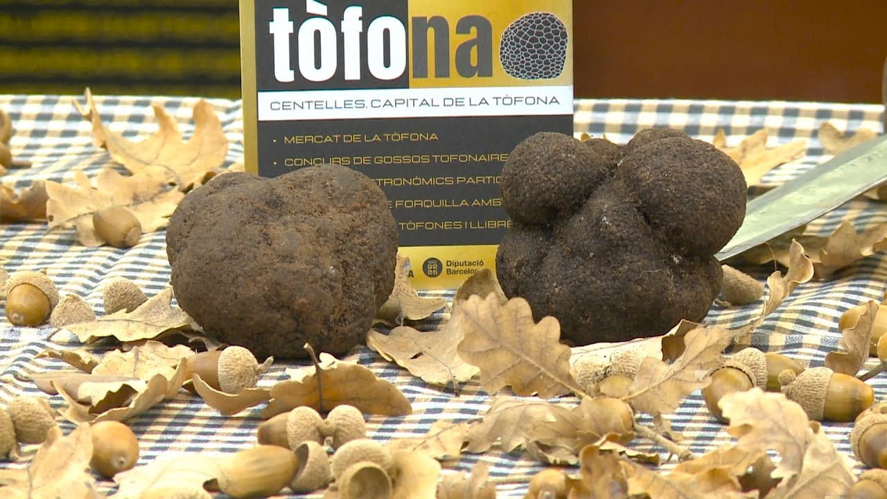 Fira de la Tòfona de Centelles (1)