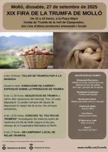 Fira de la trumfa a molló cartell 2025