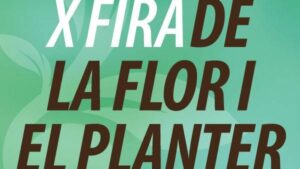 Fira de la Flor i el Planter a Salt