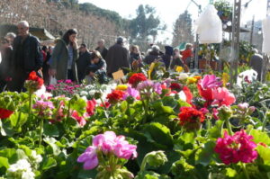 Fira de l’arbre i el medi ambient de Mataró foto