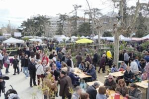 Fira de l’arbre i el medi ambient de Mataró foto