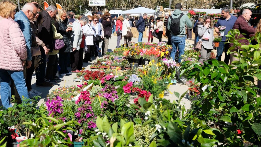Fira de l’arbre i el medi ambient de Mataró portada