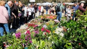 Fira de l’arbre i el medi ambient de Mataró
