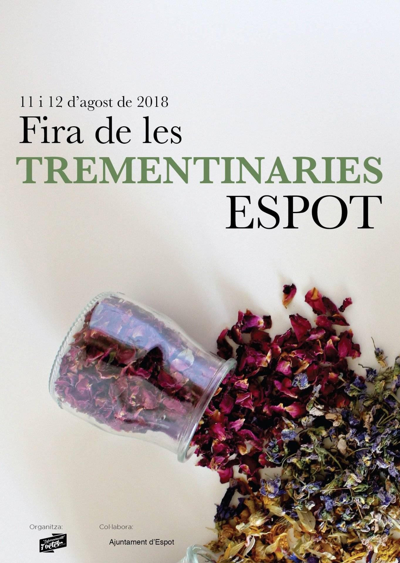Fira de les trementinaires espot ond1bt.tmp