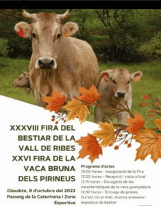 Fira del bestiar de la vall de ribes i fira de la vaca bruna del pirineu cartell 2022