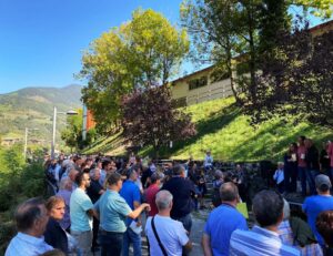 Fira del bestiar de la vall de ribes i fira de la vaca bruna del pirineu foto 2