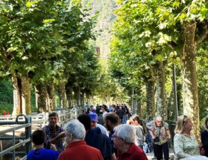 Fira del bestiar de la vall de ribes i fira de la vaca bruna del pirineu foto 3