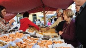 Fira del bolet a llagostera foto 4 min