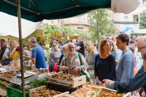 Fira del bolet a llagostera foto 5 min