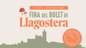 Fira del Bolet a Llagostera