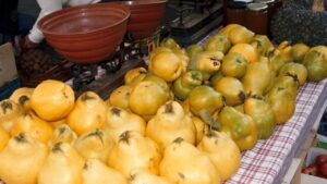 Fira del Codony a Tremp