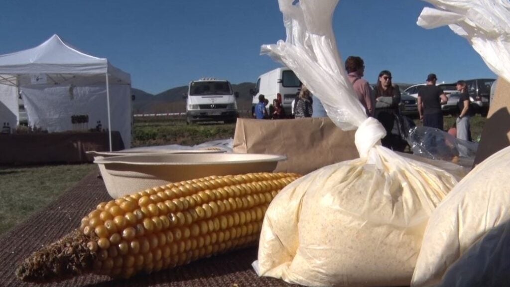 Fira del Farro a la Vall de Bianya