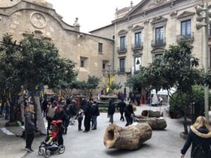 Fira del tió a solsona foto 4 min
