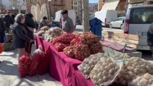 Fira del Trumfo i la Tòfona de Solsona