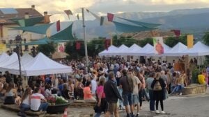 Fira del Vi del Pirineu a Talarn foto