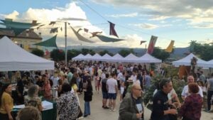 Fira del Vi del Pirineu a Talarn foto